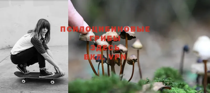 Галлюциногенные грибы MAGIC MUSHROOMS  Курганинск 